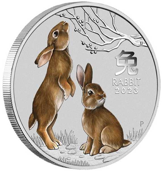 Lunar 3 - - Hier Hasen Jahr - des - Silber Unze farbig 2023 1 kaufen