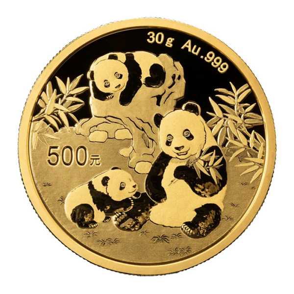 China Panda 30 Gramm Goldmünze 2025